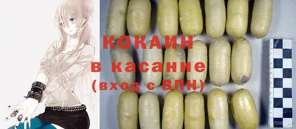 крисы Пенза